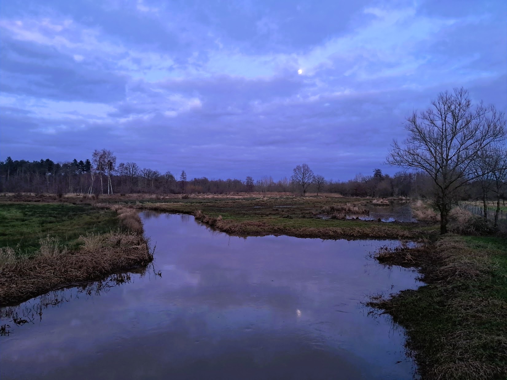 Social Run - Herentals