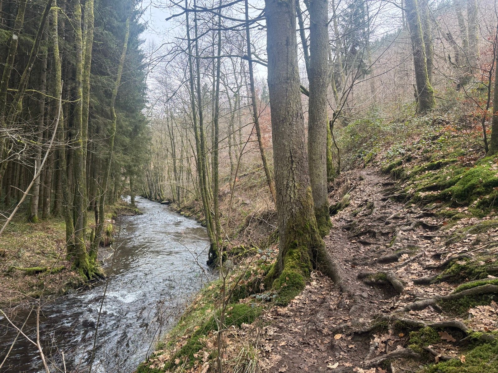 Social Run - Houffalize